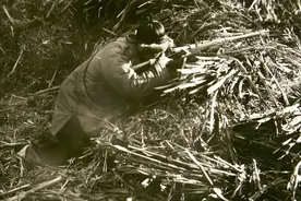 剿匪干部回忆：东北土匪枪法准跑得快，还有迫击炮和高射机枪图片
