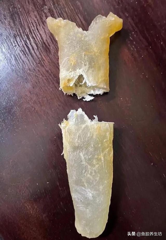 越南巴沙鱼胶多少钱一斤 2026年越南巴沙鱼鱼胶好不好 越南巴沙鱼胶多少钱一斤 2026年越南巴沙鱼鱼胶好不好