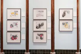 聚焦海派艺术传承！“三吴”真迹作品在沪首次合璧展出图片