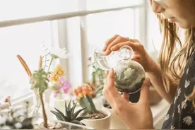 我不想结婚谈恋爱，只想有个自己生的孩子！图片