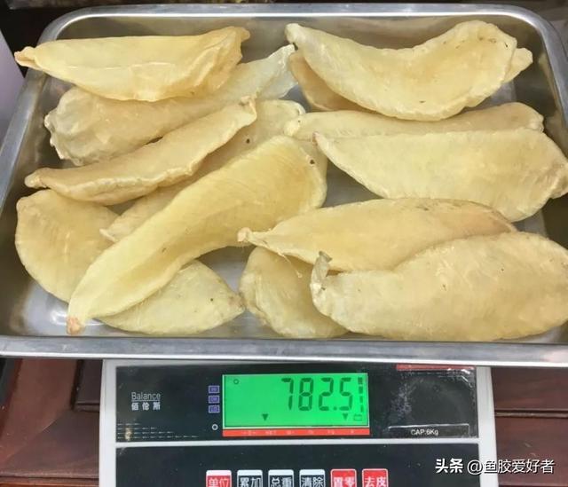 花胶一只几克 2026年花胶一只几克最好