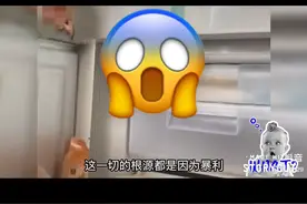 #颠覆三观图片