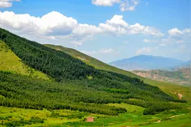 承包荒山政策上有什么规定图片