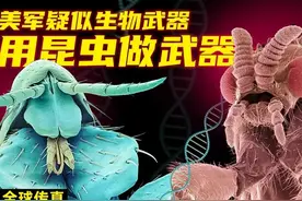 想干嘛？美国拟2年释放24亿只转基因蚊子！对人体有没有攻击性？图片