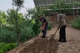 为什么现在那么多人想要回农村？图片