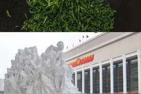 什么是雅安？图片
