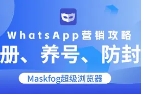 跨境必备！WhatsApp营销——注册、养号、防封号！图片