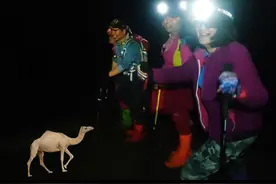 不疯不狂不成魔--夜走库木塔格沙漠图片