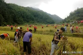下月起，三支一扶考试将开启！应往届生能报考！图片