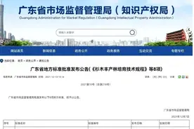 历时两年多！正式发布！图片