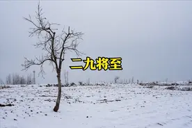 天气预报：今冬明春冻破脸？二九天气能预兆，看看农谚俗语怎么说图片