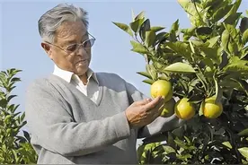 褚时健：74岁从头再来，85岁再成亿万富翁，人生永远没有太晚开始图片