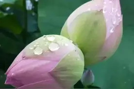 不贪嘴得吃百年饭，少说话好渡一世人图片