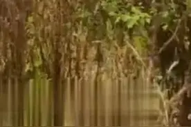 1根鱼竿配8枚鱼钩 男子使用“夺命钩”钓鱼被查 见到民警撒腿就跑图片