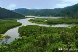 日本5个世界自然遗产之奄美大岛、德之岛、琉球群岛北部及西表岛图片