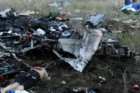 3人被判无期徒刑，马航MH17坠机案8年后终宣判图片