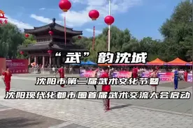 太极拳、通背拳、八极拳……属于沈阳市民的“武林大会”来了图片