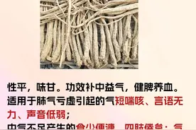 中药七种“参” 参参各不同，你知道差别吗？图片