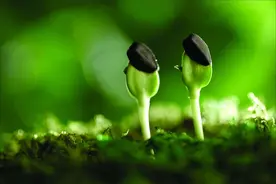人生在世，学会放下，懂得释怀，2023 告别过往，重新启程图片