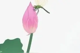 学习一年级的诗词图片