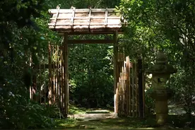 「如何培养美感」调和色彩点亮生活图片