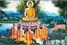 佛教原本是没有神的图片