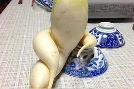 20张你没见过的奇葩图片，“神操作”让你笑的肚子疼图片