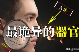 人体最诡异的器官，科学家都无法解释其原理，还藏着针灸的奥秘图片