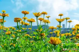 戒酒之后才明白，原来人们都这么现实图片