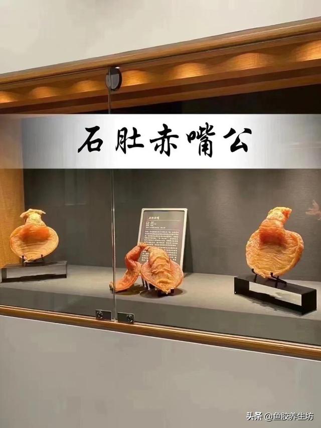 水晶花胶液有毒吗 2026年水晶花胶液有毒吗能吃吗 水晶花胶液有毒吗 2026年水晶花胶液有毒吗能吃吗