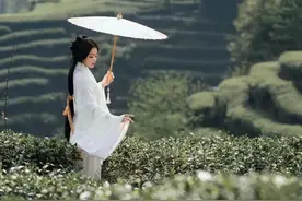 胡建华：安徽遍地兰花茶图片