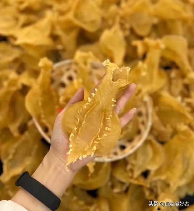 孕晚期吃花胶还有用吗 2026年孕晚期吃花胶的好处