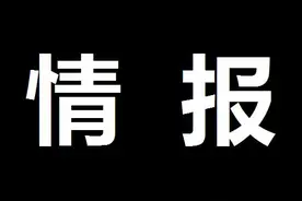 海贼王1040话情报更新！大妈战败！象主是乔伊波伊的伙伴图片