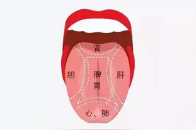 快对镜自查！中医教你通过舌头快速识别疾病图片