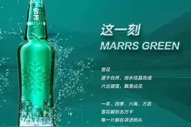 雪花啤酒系列研究初探图片