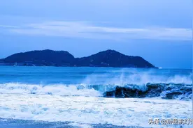怪我算计了你图片