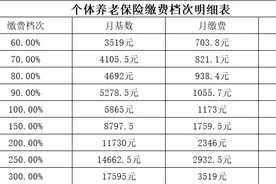 个体养老保险缴费档次明细表（灵活就业人员）图片