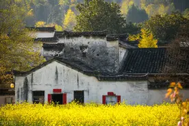 俗话说：“一怕树压房，二怕床上梁，三怕坟后疮”，是什么意思？图片
