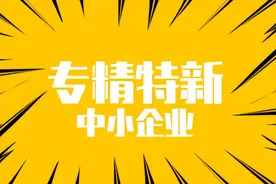 盘点：全国“隐形冠军”和“专精特新”企业全部名单！图片