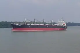 运11万吨粮食去加纳，2天装18天卸，船员半夜值班被抓，数罪并罚图片