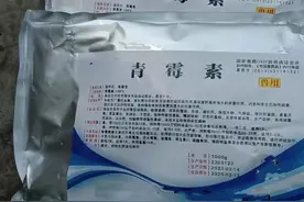 提料，治肠炎，怎么更好使用青霉素？图片