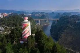 贵州人喝酒“怪象”，不喝茅台，不碰董酒，反而偏爱这3款廉价酒图片