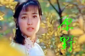 1981年 23万拍出的好电影 却遭禁映 7年后连获大奖 刘晓庆成最大赢家图片