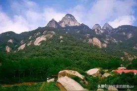 民间传说之铁公鸡斗蜈蚣图片
