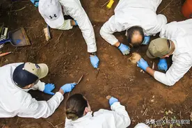 揭秘世界上首个尸体农场！1800具尸体死后依旧在此工作图片