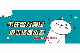 韦氏智力报告解析|好奇孩子的智商，妈妈带8周岁男孩做了韦氏测试图片