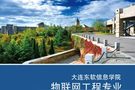 大连东软信息学院物联网工程——辽宁省一流本科专业图片