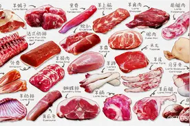 一篇文章让你成为懂羊人！带你认识不同部位的羊肉和吃法有哪些图片