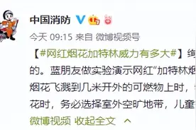 危险！网红烟花“加特林”威力有多大？图片