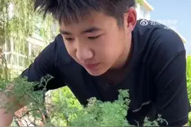 太逼真了！山东烟台男生用模型还原爷爷奶奶家院子图片